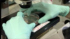 Mold Testing Racine WI