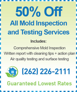 Racine Mold Inspection Cost